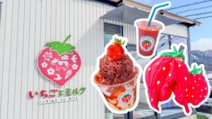 1パックまるごと苺ジュース!いちごカフェ